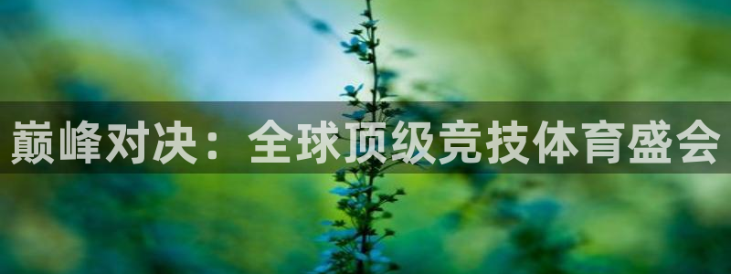 K球体育直播在线：巅峰对决：全球顶级竞技体育盛会
